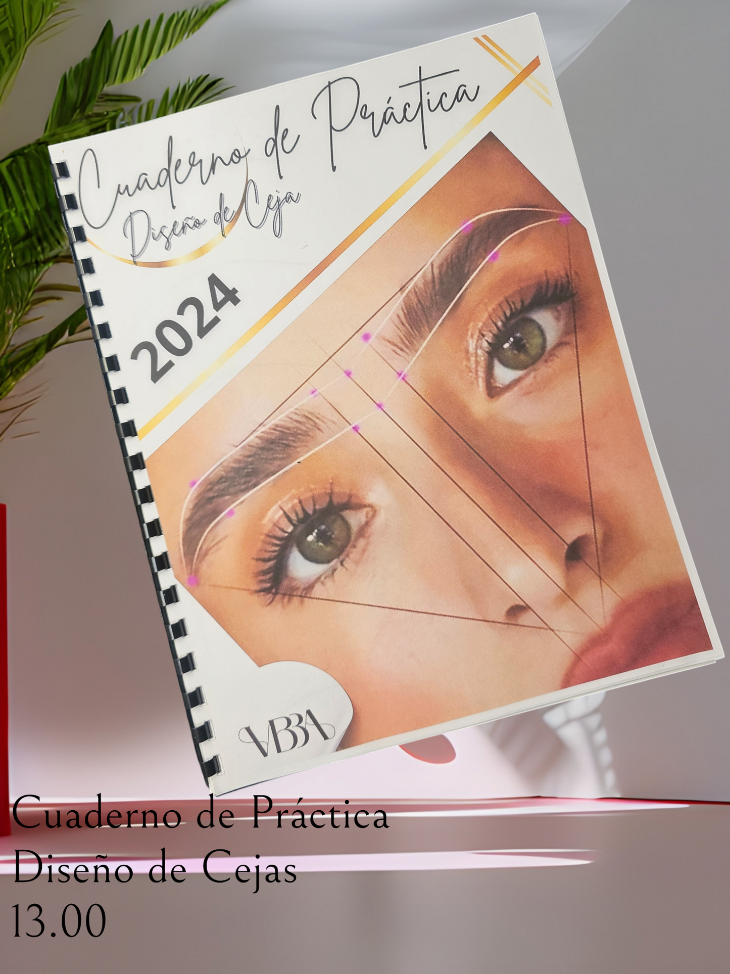 Cuaderno de Práctica de Diseño de Cejas